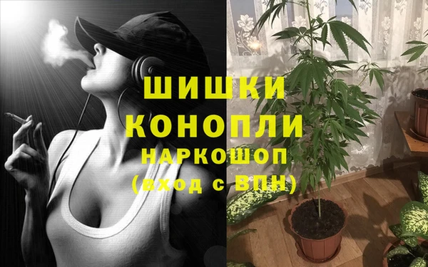 Альфа ПВП Алзамай