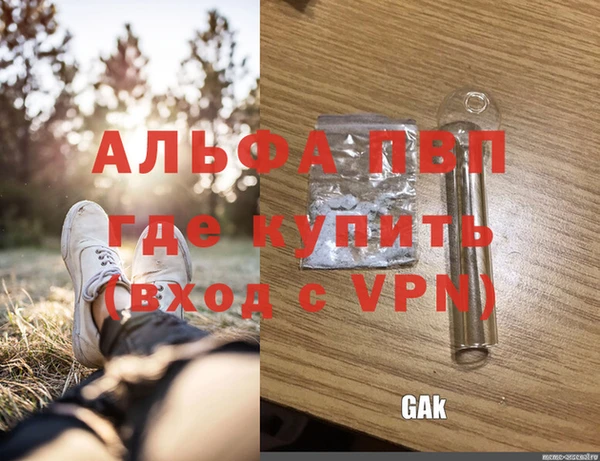 ECSTASY Пересвет