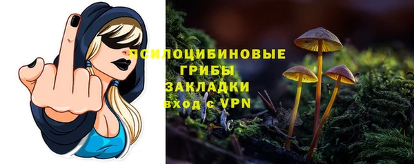 соль ск Абдулино