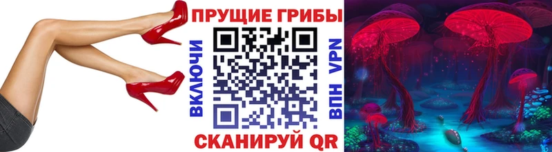 Галлюциногенные грибы мицелий  Ессентукская 